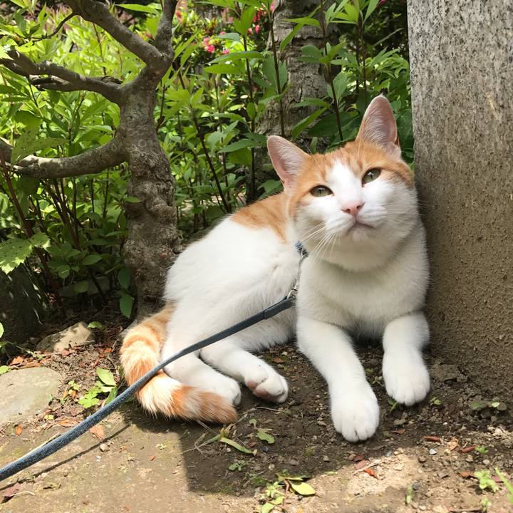 Ae3cb13e 03b8 48e3 8430 0697b94f7497