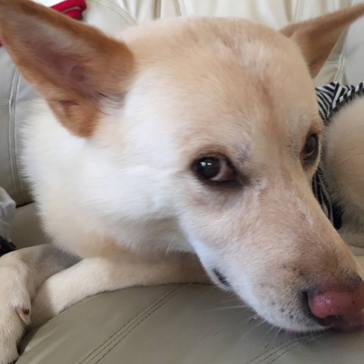 Ae3db2eb 5d75 44be 9c19 477b417d9ce7