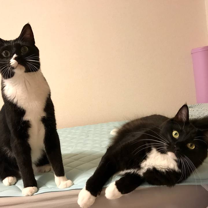 Ae3dd38e d717 424c 983d 407ae0a62167