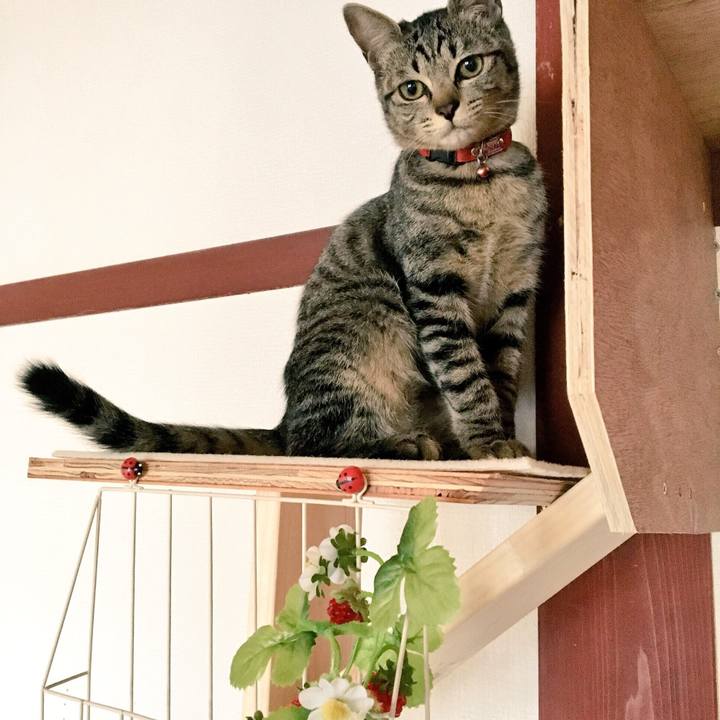 Ae3dd8d7 0f73 494a 811f cff71d7c9395