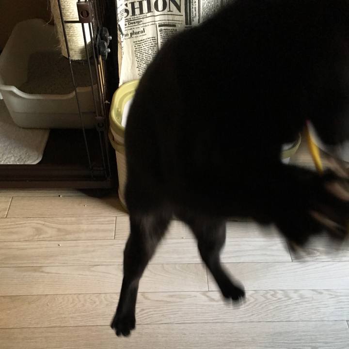 Ae3df9bb 961f 4550 9168 6cf9b80c6a33