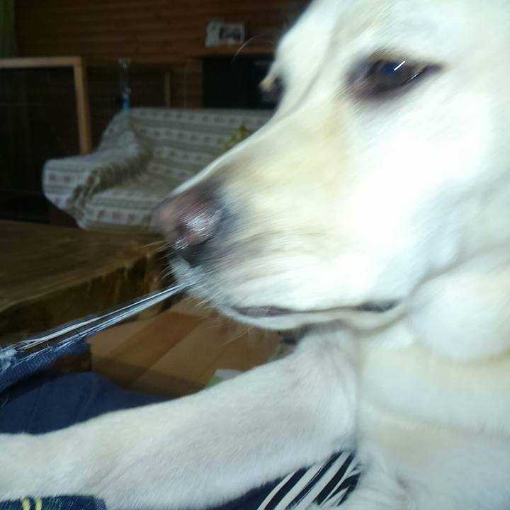 Ae3e0ff0 d2b9 45fc ada9 9d736800eae8