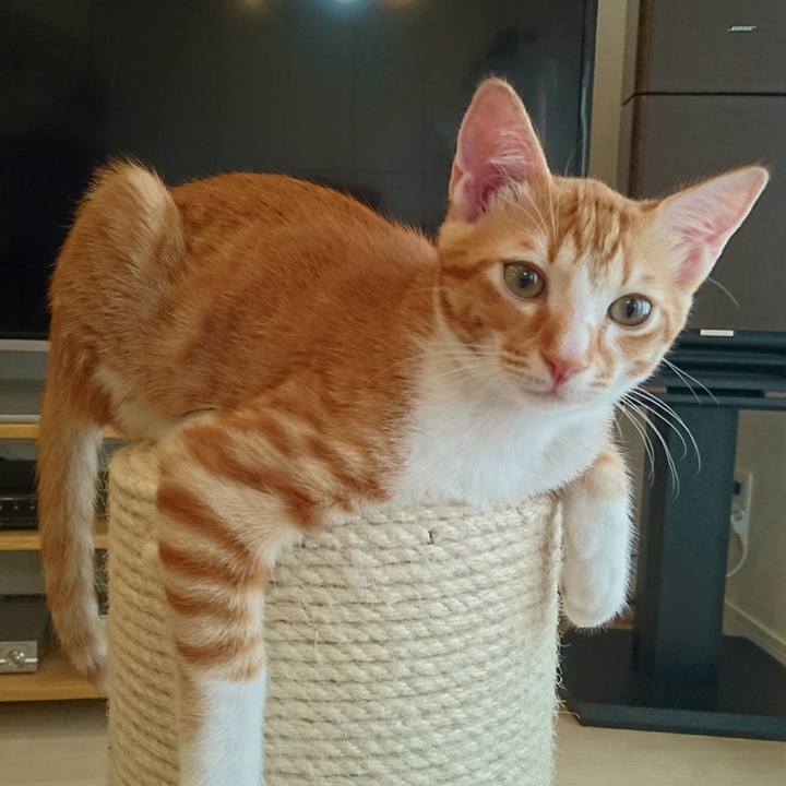 Ae3e2189 6610 456d 90f4 9d54f6a63fc1