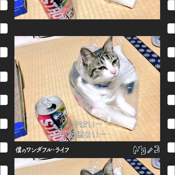 Ae3ea1f1 eea0 47a3 969b 609ad2f0665b