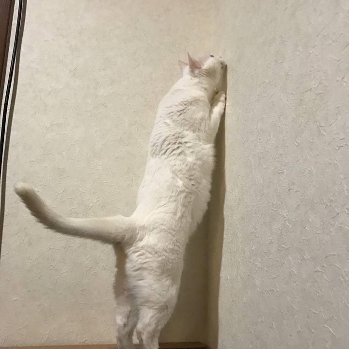 Ae3f1cd1 4878 4a7e b048 d3329a3b785a