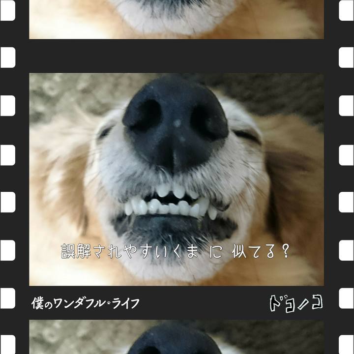 Ae3f6f92 ba85 46f5 9bad 149bfa25ed75