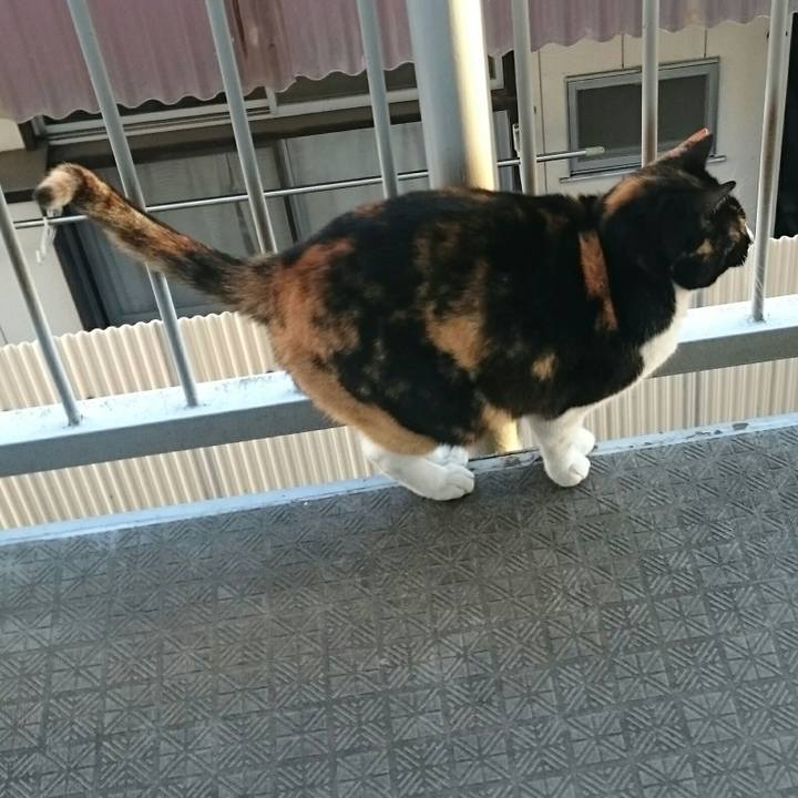 Ae3f6fb0 d527 47da a806 0b211b410a4f