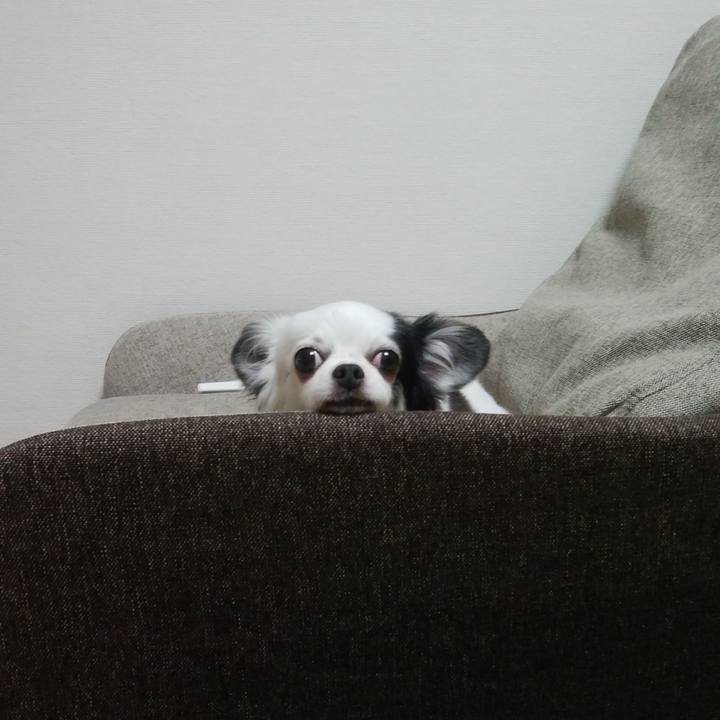 Ae409ba8 fe4c 4c6c 88df 9260c2f0c624