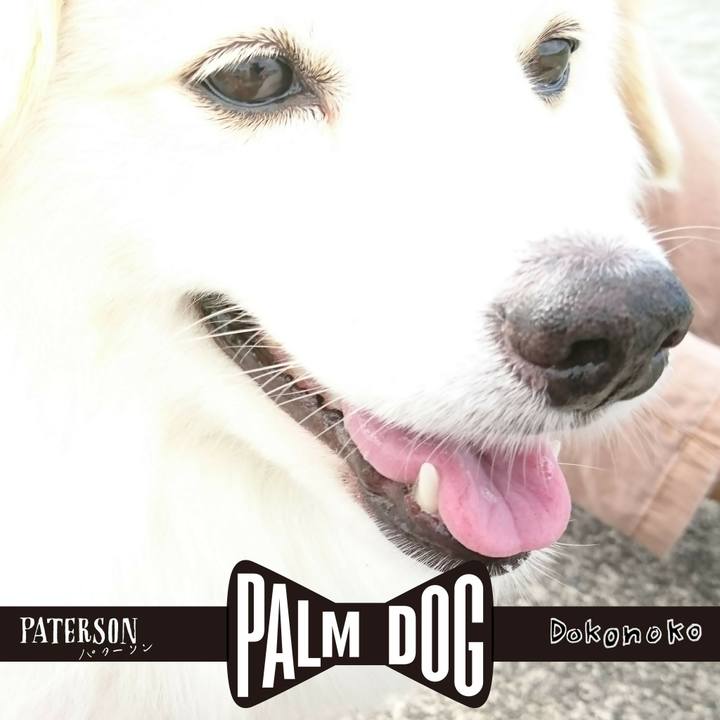 Ae40ddf4 8683 4d74 b269 a9cdeb420efa