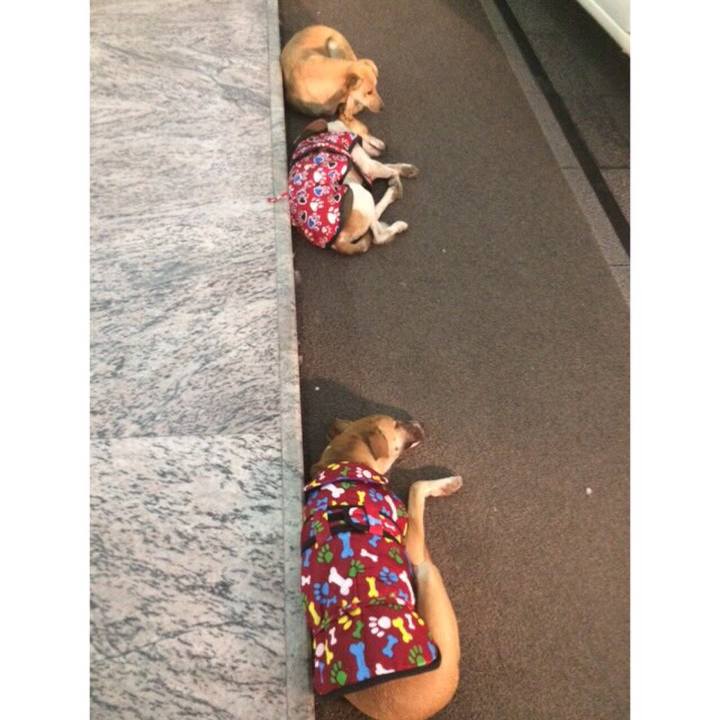 Ae413d03 f1e0 4bd1 aeb3 08d3c69b96ca