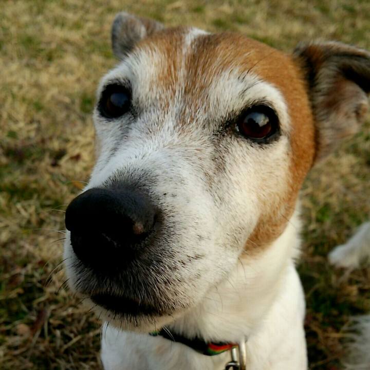 Ae41b2ad 667a 4eb5 935f 8bae412748ce