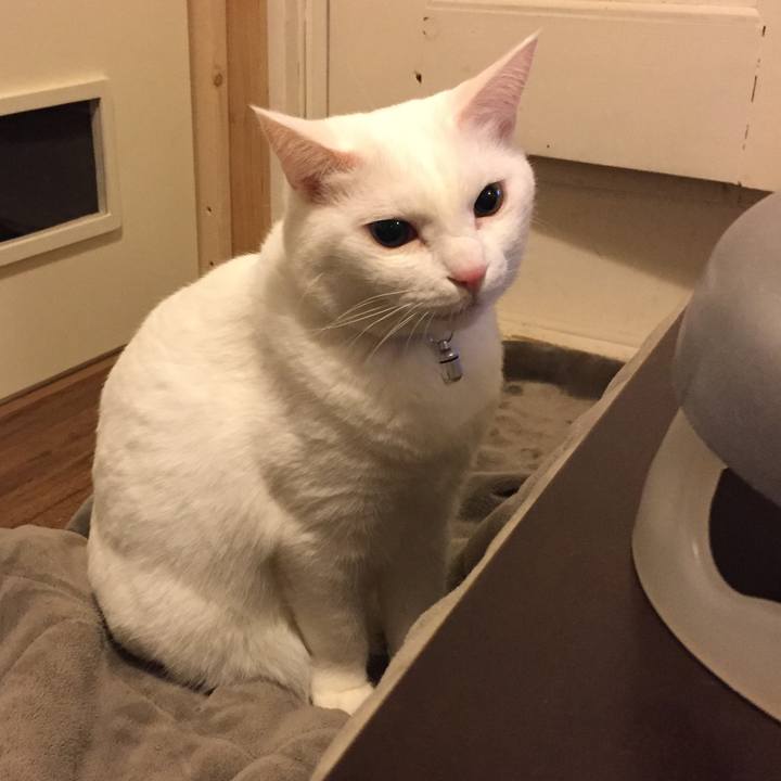 Ae41e82e 6b97 4a02 8219 ba8ae585c1b1