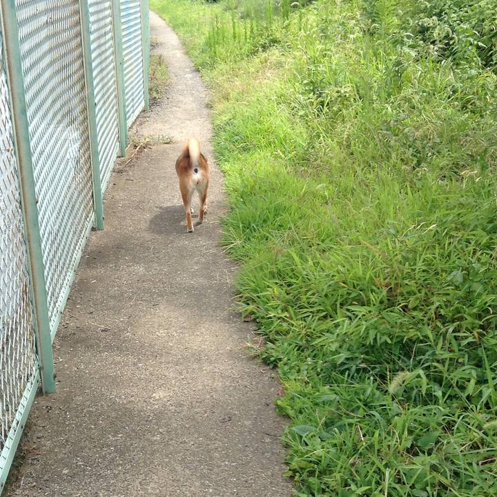 Ae425cc1 58b1 453d 932c d12e7c2af28e