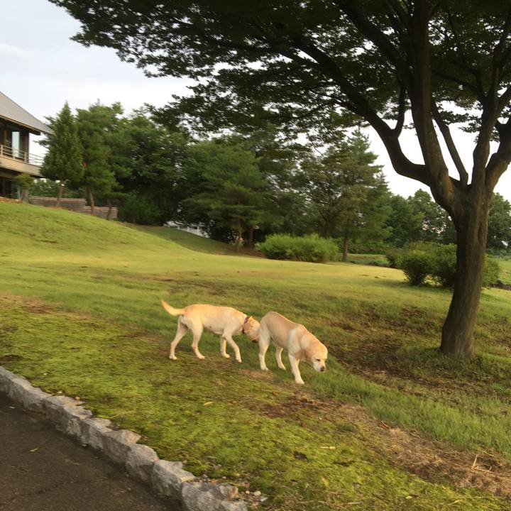 Ae426c63 960b 438e 9753 313555ba7c06