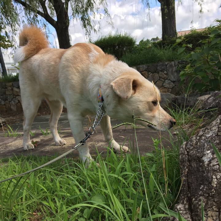 Ae42c632 e7b9 42e5 b1e8 c2f6941df05d