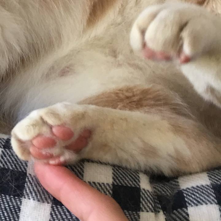 Ae430cb2 0434 495b 967d 29009aa916b8