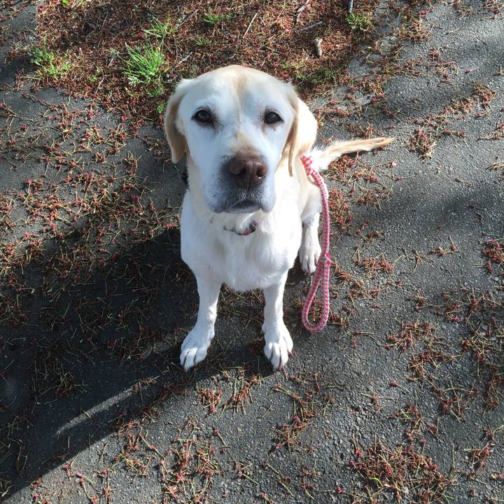 Ae437310 0817 426e 8abd 710d7e9ecd29