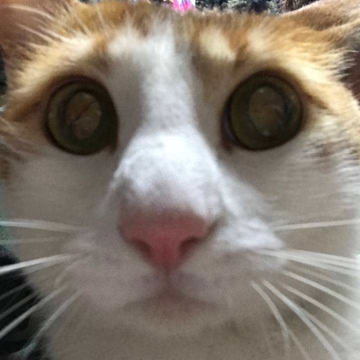 Ae44226d 0f6b 4dd2 96d0 9130592c1f39