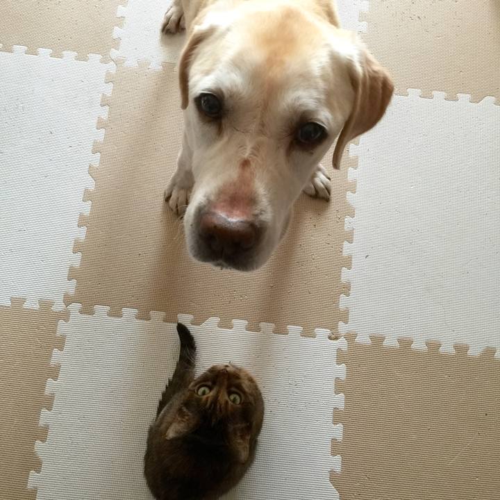 Ae44728d a364 427b 8e2e d3054c3eef5e