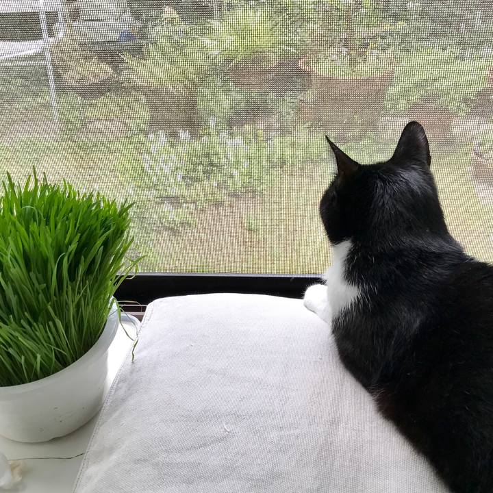 Ae44ca92 f69d 4950 b1d3 c47d96031c1d