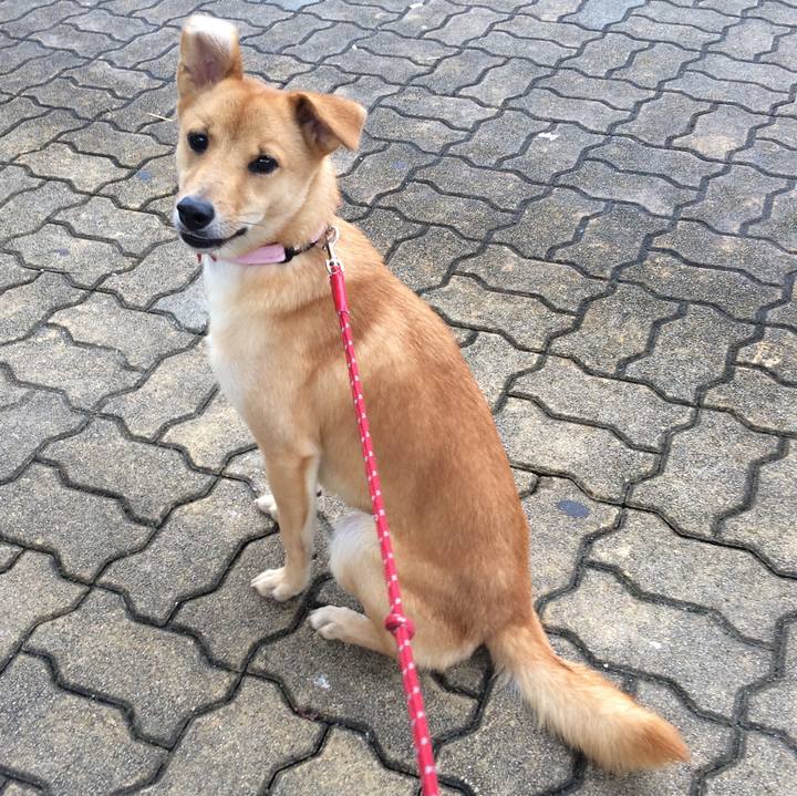 Ae45abb9 76f1 42f4 a045 e765b6221c22