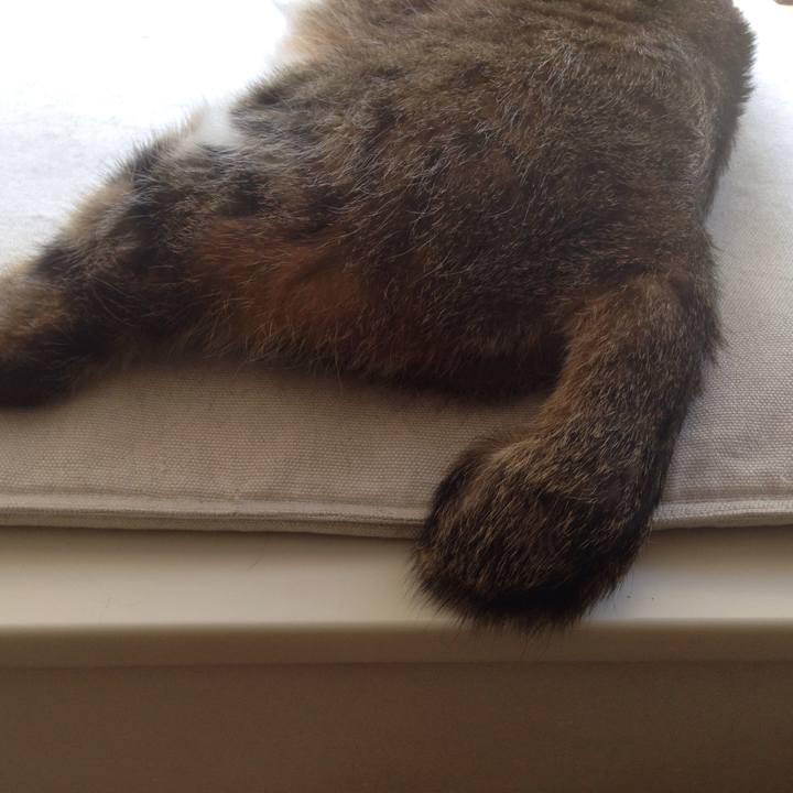 Ae45ca2f 1d67 4b1d 862b 1c0132538fd7