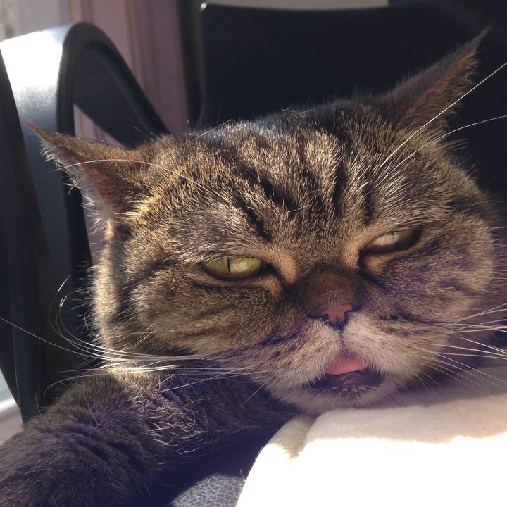 Ae45eb2f 8696 4501 8b49 c9917c114d78