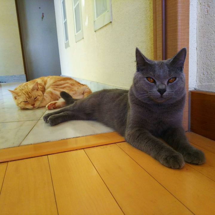 Ae469104 3e11 4aa4 af5f c5ecf5b0f06e