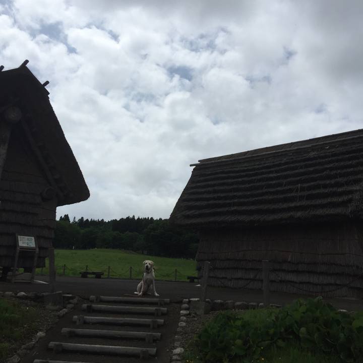 Ae474e3d f497 4369 833e d019842d8373