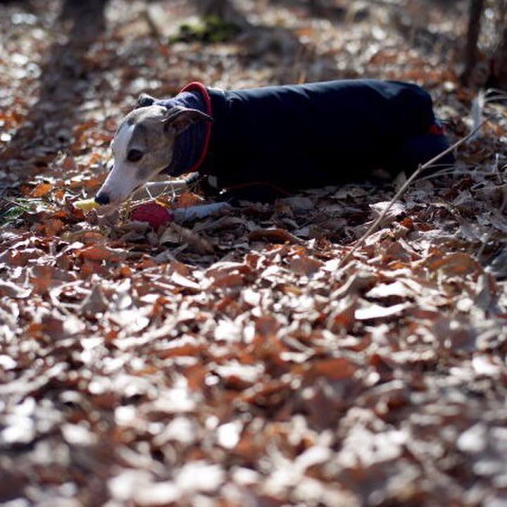 Ae4858a5 9441 46b3 ab54 8ea59af72ad6