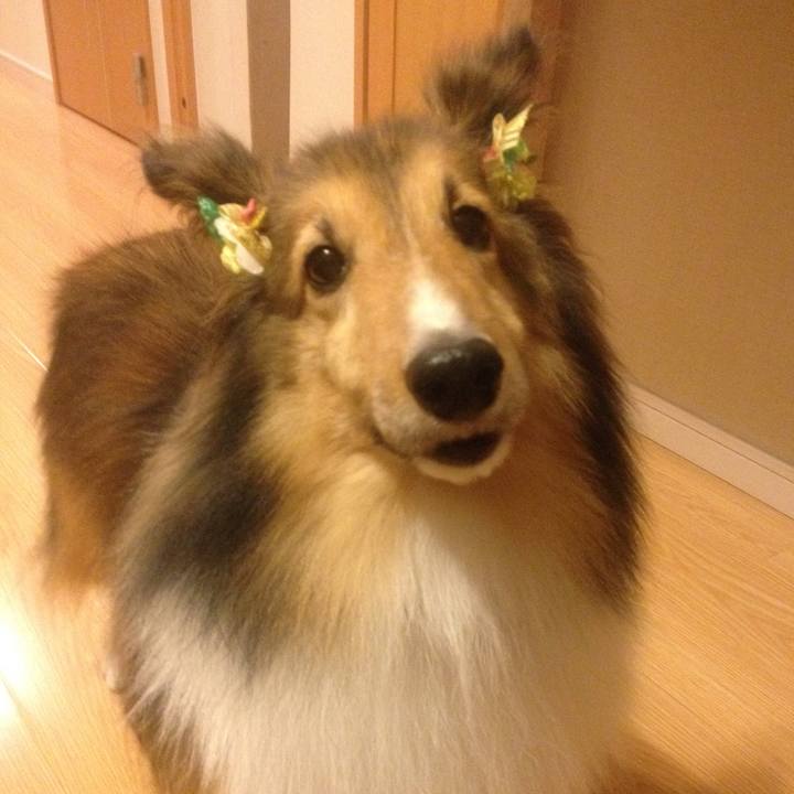 Ae489889 aa33 4593 9840 d05315b46e22