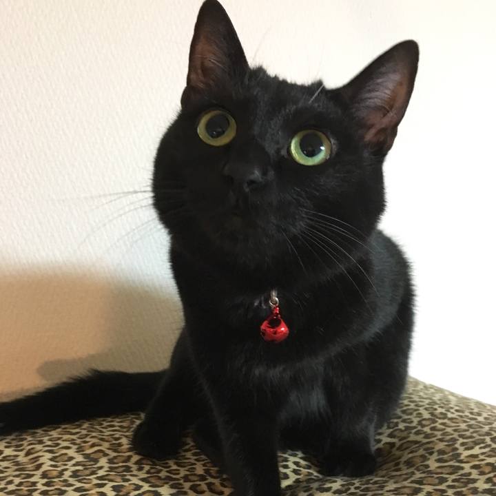 Ae494dbf ad92 4deb 90a6 585eb2783e64