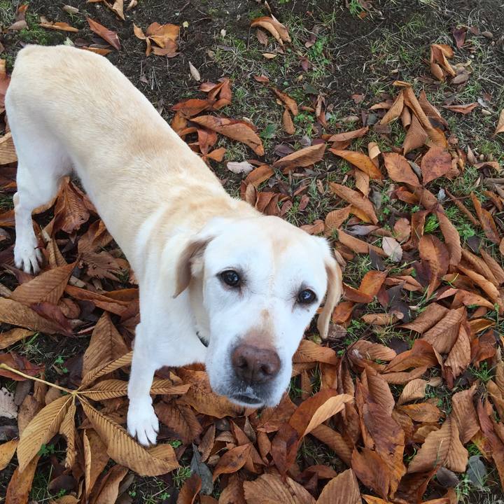 Ae494fa2 1131 46fe 8cb1 81a5971add9d