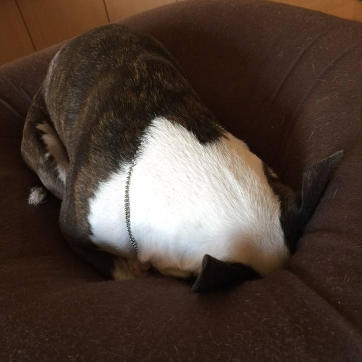 Ae49530f 2456 4811 8098 ae08493383f6