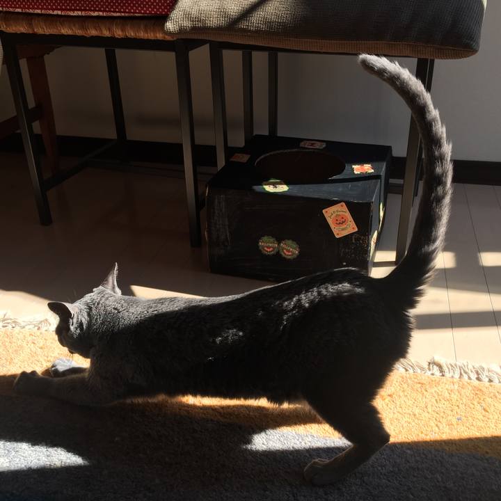 Ae49624a 6620 4f4b 8f4c ccf75ee554f3