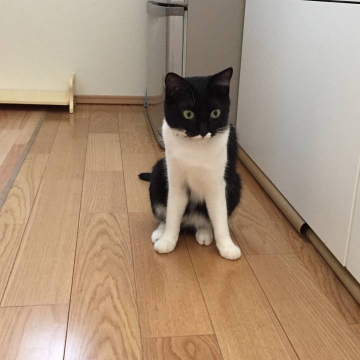 Ae4a0cbf b8ab 4da4 afd8 14534d5a8ce4