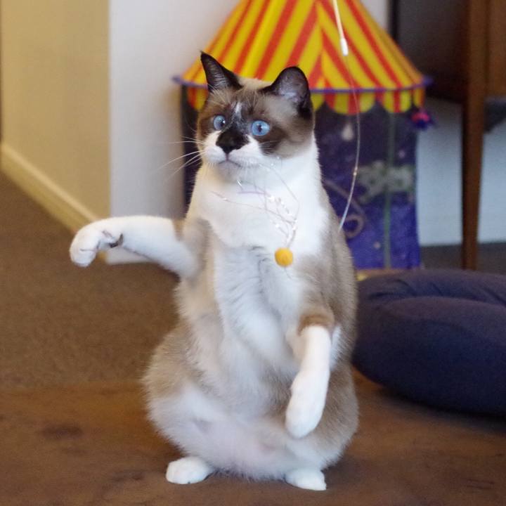 Ae4a44bd 7039 4ebc afa4 64ce5e4b3e2d