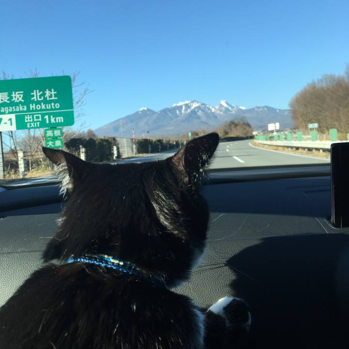 Ae4a4d85 9258 4adf a26b 910e6f4a04b9