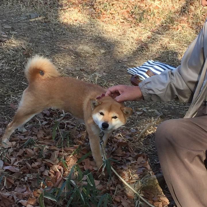 Ae4a6153 fac6 4648 afe5 535323baf219