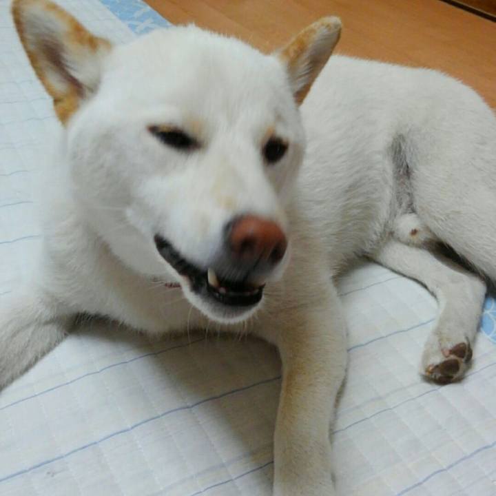 Ae4b18e6 9499 4678 a9a1 873a88c9fadd