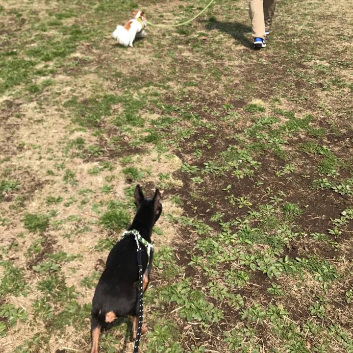 Ae4c298c c051 47a3 a22d 63058a831dac