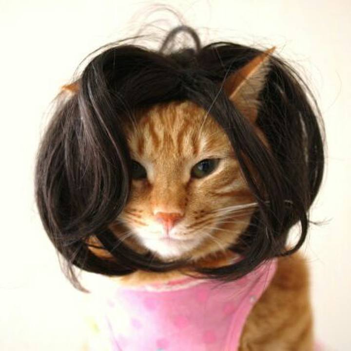 Ae4cab50 5768 4cce aa6c a9f6fe247920