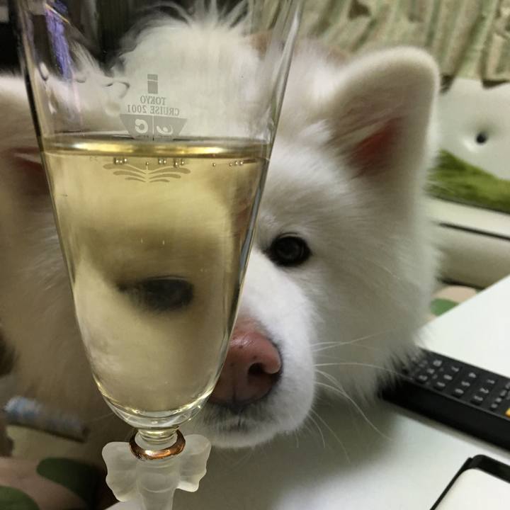 Ae4cb6d8 503f 48a0 93f9 efbb1af8b038