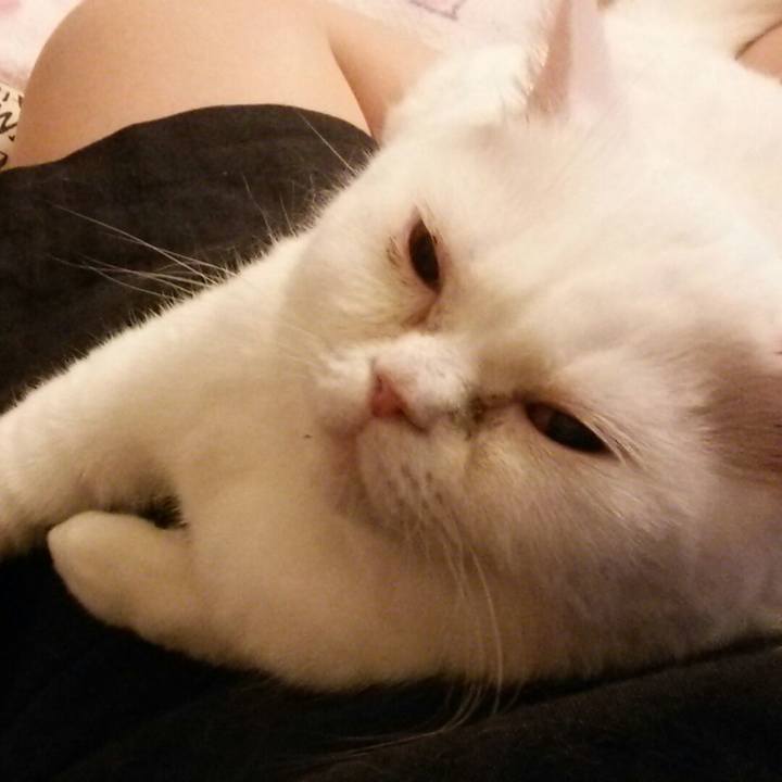 Ae4d3451 48ac 4ea1 9ee0 cf250510e310