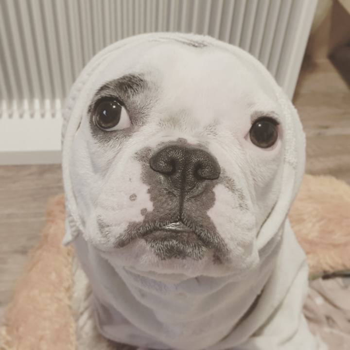 Ae4d3a47 f5f3 4a07 8d0e c60265e25106