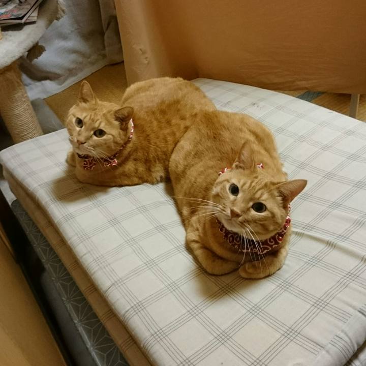 Ae4d8f71 d9a7 460f 9d6c 5833a08dd2d9