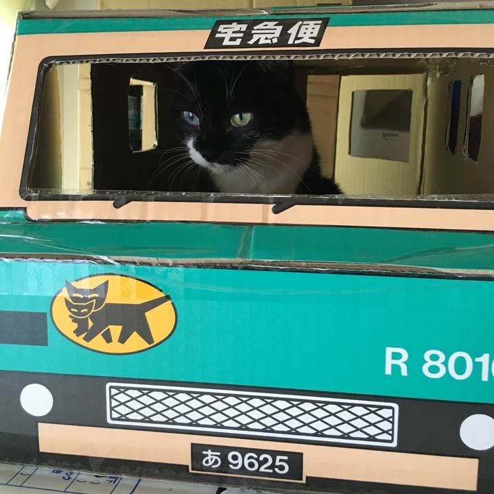 Ae4de572 f98c 494d bc75 129deebacf13