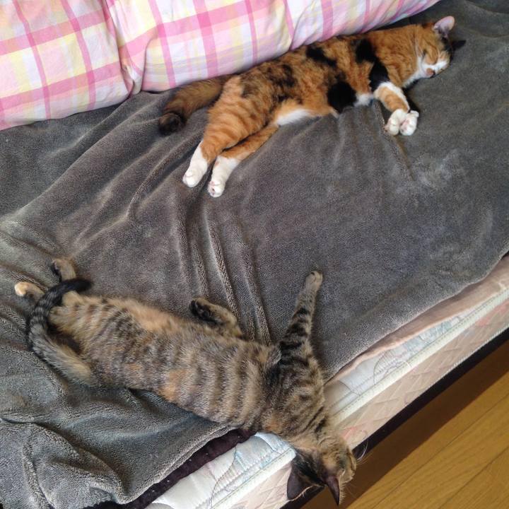 Ae4e913a 4b02 46ae b557 4fee11f306c1