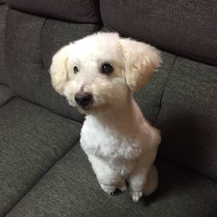 Ae4e9782 d298 4b50 9287 7a62fceeba8e