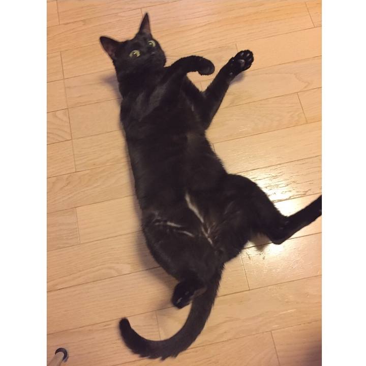 Ae4f2066 27c1 4743 bef0 17a27e218316